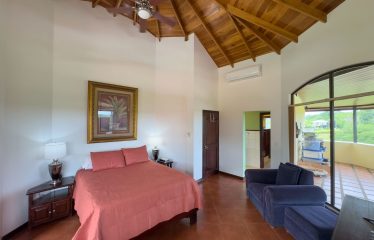 TROPICAL PROPERTY WITH HOUSE AND SUITE, IN NARANJITO – 1.7 ACRES