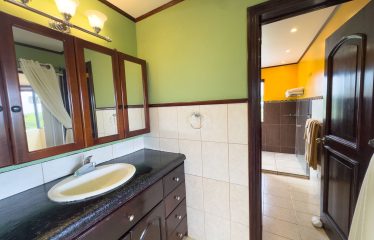 TROPICAL PROPERTY WITH HOUSE AND SUITE, IN NARANJITO – 1.7 ACRES