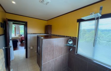 TROPICAL PROPERTY WITH HOUSE AND SUITE, IN NARANJITO – 1.7 ACRES