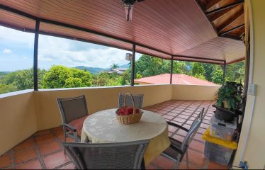 TROPICAL PROPERTY WITH HOUSE AND SUITE, IN NARANJITO – 1.7 ACRES