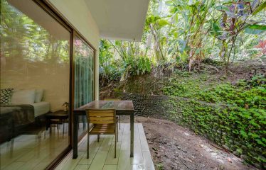 2-BEDROOM CONDO NEAR MANUEL ANTONIO NATIONAL PARK
