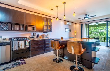 MARISOL CONDOMINIUMS EXCLUSIVE RESIDENTIAL COMPLEX WITH OCEAN VIEWS, IN PLAYA DOMINICALITO