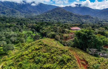 PROPERTY WITH RIVER, FRUIT TREES, AND MOUNTAIN VIEWS, IN OJOCHAL – 22 ACRES