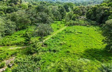 PROPERTY WITH RIVER, FRUIT TREES, AND MOUNTAIN VIEWS, IN OJOCHAL – 22 ACRES