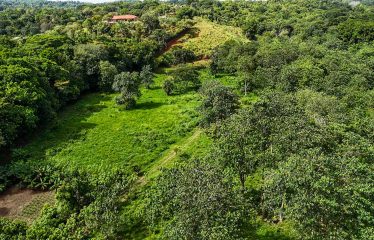 PROPERTY WITH RIVER, FRUIT TREES, AND MOUNTAIN VIEWS, IN OJOCHAL – 22 ACRES