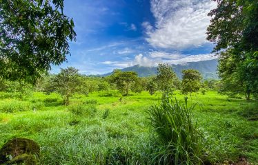 PROPERTY WITH RIVER, FRUIT TREES, AND MOUNTAIN VIEWS, IN OJOCHAL – 22 ACRES