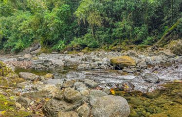 PROPERTY WITH RIVER, FRUIT TREES, AND MOUNTAIN VIEWS, IN OJOCHAL – 22 ACRES