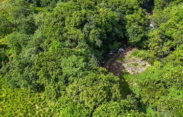 PROPERTY WITH RIVER, FRUIT TREES, AND MOUNTAIN VIEWS, IN OJOCHAL – 22 ACRES