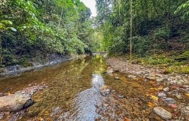 PROPERTY WITH RIVER, FRUIT TREES, AND MOUNTAIN VIEWS, IN OJOCHAL – 22 ACRES