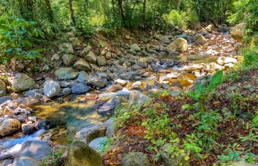 PROPERTY WITH RIVER, FRUIT TREES, AND MOUNTAIN VIEWS, IN OJOCHAL – 22 ACRES