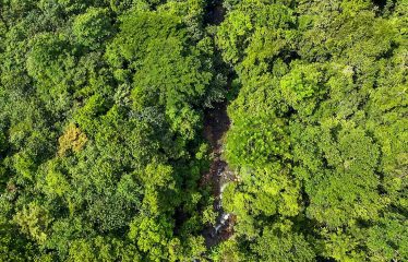 PROPERTY WITH RIVER, FRUIT TREES, AND MOUNTAIN VIEWS, IN OJOCHAL – 22 ACRES