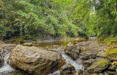 PROPERTY WITH RIVER, FRUIT TREES, AND MOUNTAIN VIEWS, IN OJOCHAL – 22 ACRES