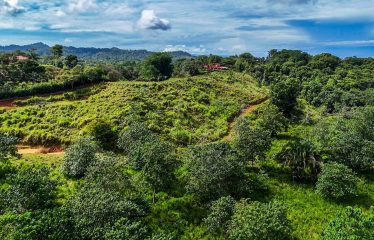 PROPERTY WITH RIVER, FRUIT TREES, AND MOUNTAIN VIEWS, IN OJOCHAL – 22 ACRES