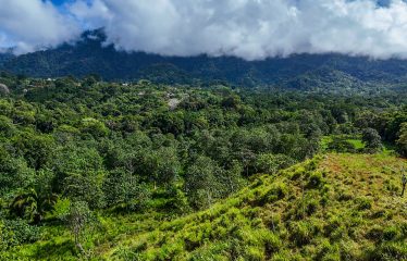 PROPERTY WITH RIVER, FRUIT TREES, AND MOUNTAIN VIEWS, IN OJOCHAL – 22 ACRES