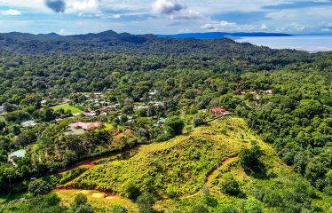 PROPERTY WITH RIVER, FRUIT TREES, AND MOUNTAIN VIEWS, IN OJOCHAL – 22 ACRES