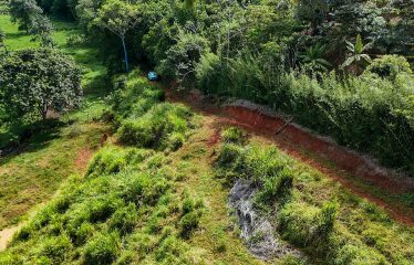 PROPERTY WITH RIVER, FRUIT TREES, AND MOUNTAIN VIEWS, IN OJOCHAL – 22 ACRES