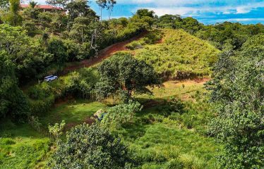 PROPERTY WITH RIVER, FRUIT TREES, AND MOUNTAIN VIEWS, IN OJOCHAL – 22 ACRES