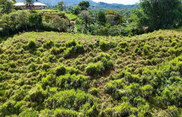 PROPERTY WITH RIVER, FRUIT TREES, AND MOUNTAIN VIEWS, IN OJOCHAL – 22 ACRES