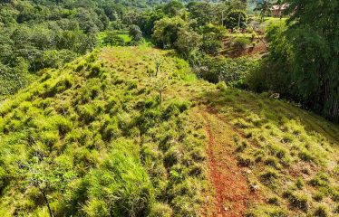 PROPERTY WITH RIVER, FRUIT TREES, AND MOUNTAIN VIEWS, IN OJOCHAL – 22 ACRES