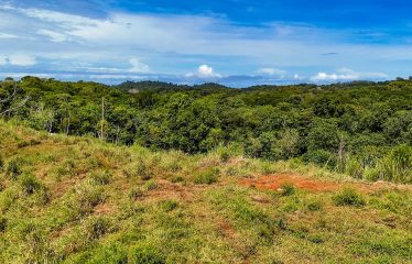 PROPERTY WITH RIVER, FRUIT TREES, AND MOUNTAIN VIEWS, IN OJOCHAL – 22 ACRES