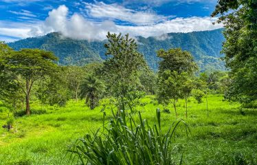 PROPERTY WITH RIVER, FRUIT TREES, AND MOUNTAIN VIEWS, IN OJOCHAL – 22 ACRES
