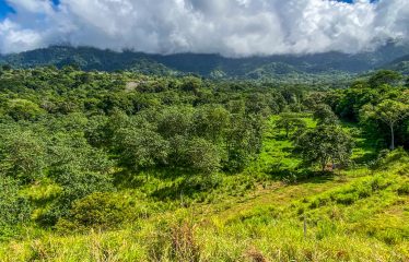 PROPERTY WITH RIVER, FRUIT TREES, AND MOUNTAIN VIEWS, IN OJOCHAL – 22 ACRES