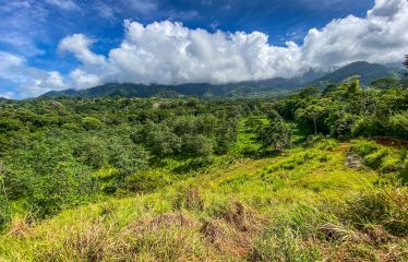 PROPERTY WITH RIVER, FRUIT TREES, AND MOUNTAIN VIEWS, IN OJOCHAL – 22 ACRES