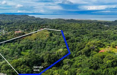 PROPERTY WITH RIVER, FRUIT TREES, AND MOUNTAIN VIEWS, IN OJOCHAL – 22 ACRES