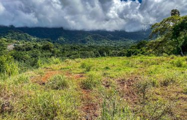 PROPERTY WITH RIVER, FRUIT TREES, AND MOUNTAIN VIEWS, IN OJOCHAL – 22 ACRES