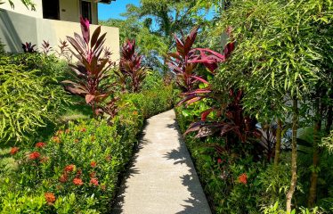 MARISOL CONDOMINIUMS EXCLUSIVE RESIDENTIAL COMPLEX WITH OCEAN VIEWS, IN PLAYA DOMINICALITO