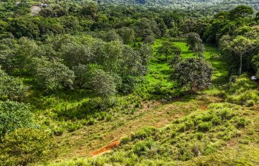 PROPERTY WITH RIVER, FRUIT TREES, AND MOUNTAIN VIEWS, IN OJOCHAL – 22 ACRES
