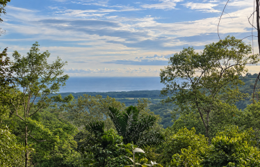EXCEPTIONAL OCEAN VIEW ESTATE – TWO CONTIGUOUS PROPERTIES WITH OCEAN AND SUNSET VIEWS, IN PORTASOL – 7.91 ACRES