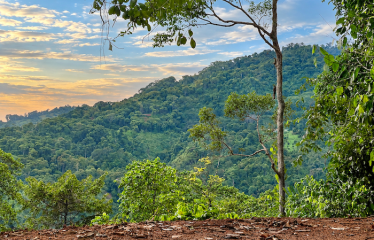 EXCEPTIONAL OCEAN VIEW ESTATE – TWO CONTIGUOUS PROPERTIES WITH OCEAN AND SUNSET VIEWS, IN PORTASOL – 7.91 ACRES