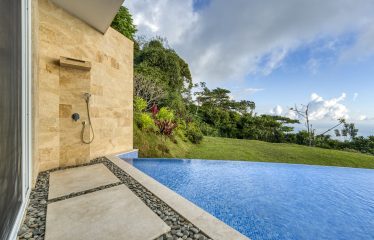 CASA LUZ LUXURY RESIDENCE WITH PANORAMIC OCEAN AND SUNSET VIEWS, IN COSTA VERDE – 3.21 ACRES