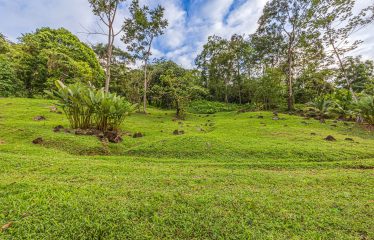 MOUNTAIN RETREAT WITH PANORAMIC OCEAN AND SUNSET VIEWS, NEAR UVITA – 12 ACRES