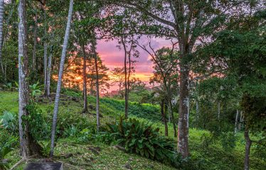 MOUNTAIN RETREAT WITH PANORAMIC OCEAN AND SUNSET VIEWS, NEAR UVITA – 12 ACRES