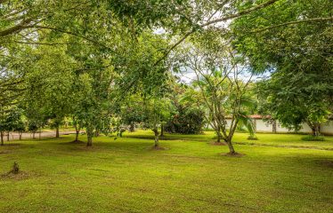 TWO-STORY FAMILY RESIDENCE WITH POOL AND EXPANSIVE GARDENS, IN PÉREZ ZELEDÓN – 4.58 ACRES