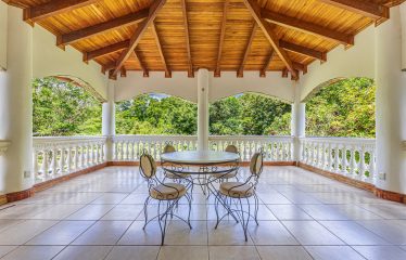 TWO-STORY FAMILY RESIDENCE WITH POOL AND EXPANSIVE GARDENS, IN PÉREZ ZELEDÓN – 4.58 ACRES