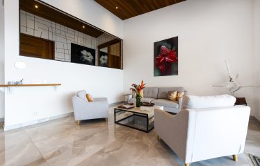LUXURY VILLA WITH INFINITY POOL, OCEAN VIEWS, AND INVESTMENT POTENTIAL, IN OJOCHAL