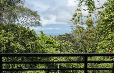PRIVATE HOME WITH POOL, JUNGLE, AND PANORAMIC PACIFIC VIEWS, IN UVITA – 2.72 ACRES