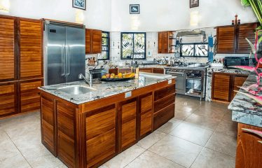 91.2-ACRE PRIVATE ESTATE WITH A MANSION, PANORAMIC OCEAN VIEWS, AND TROPICAL RAINFOREST, IN PLAYA MATAPALO
