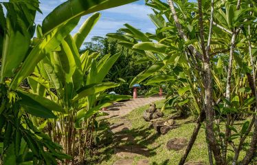 91.2-ACRE PRIVATE ESTATE WITH A MANSION, PANORAMIC OCEAN VIEWS, AND TROPICAL RAINFOREST, IN PLAYA MATAPALO
