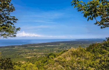 91.2-ACRE PRIVATE ESTATE WITH A MANSION, PANORAMIC OCEAN VIEWS, AND TROPICAL RAINFOREST, IN PLAYA MATAPALO