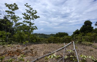 LAND WITH OCEAN VIEWS AND BUILDING POTENTIAL, IN PLAYA HERMOSA – 1.79 ACRES