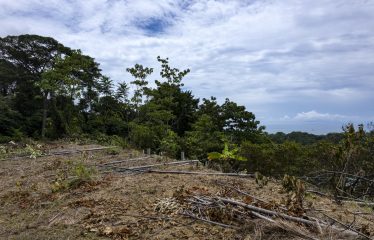 LAND WITH OCEAN VIEWS AND BUILDING POTENTIAL, IN PLAYA HERMOSA – 1.79 ACRES