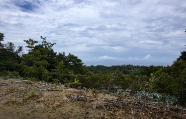 LAND WITH OCEAN VIEWS AND BUILDING POTENTIAL, IN PLAYA HERMOSA – 1.79 ACRES