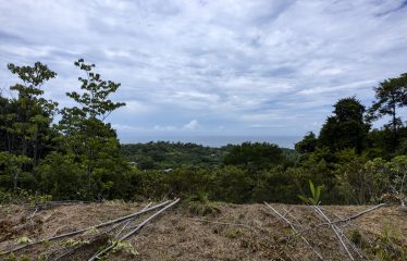 LAND WITH OCEAN VIEWS AND BUILDING POTENTIAL, IN PLAYA HERMOSA – 1.79 ACRES