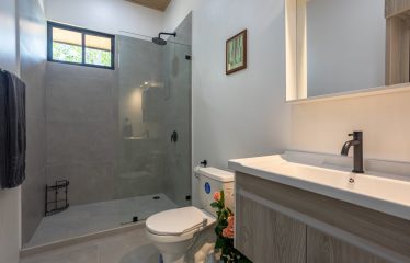 NATURAL RETREAT WITH THREE BEDROOMS IN TINAMASTES WITH A YEAR-ROUND STREAM AND DEVELOPMENT POTENTIAL – 3.5 ACRES