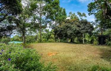 NATURAL RETREAT WITH THREE BEDROOMS IN TINAMASTES WITH A YEAR-ROUND STREAM AND DEVELOPMENT POTENTIAL – 3.5 ACRES