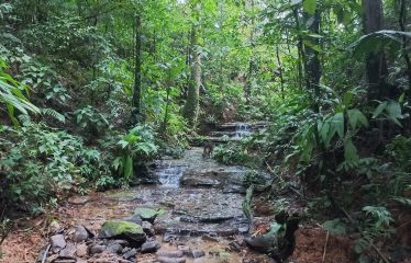 NATURAL RETREAT WITH THREE BEDROOMS IN TINAMASTES WITH A YEAR-ROUND STREAM AND DEVELOPMENT POTENTIAL – 3.5 ACRES